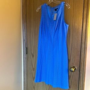 Ann Taylor Blue Dress